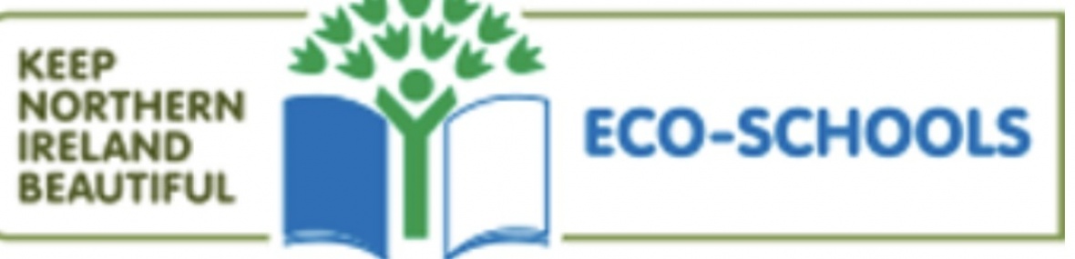 Green Flag Eco - School