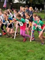 Flahavan's Primary School Cross Country Runners