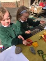 Outdoor learning & connecting with nature