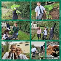 P6/7 Health & Wellbeing out in the garden